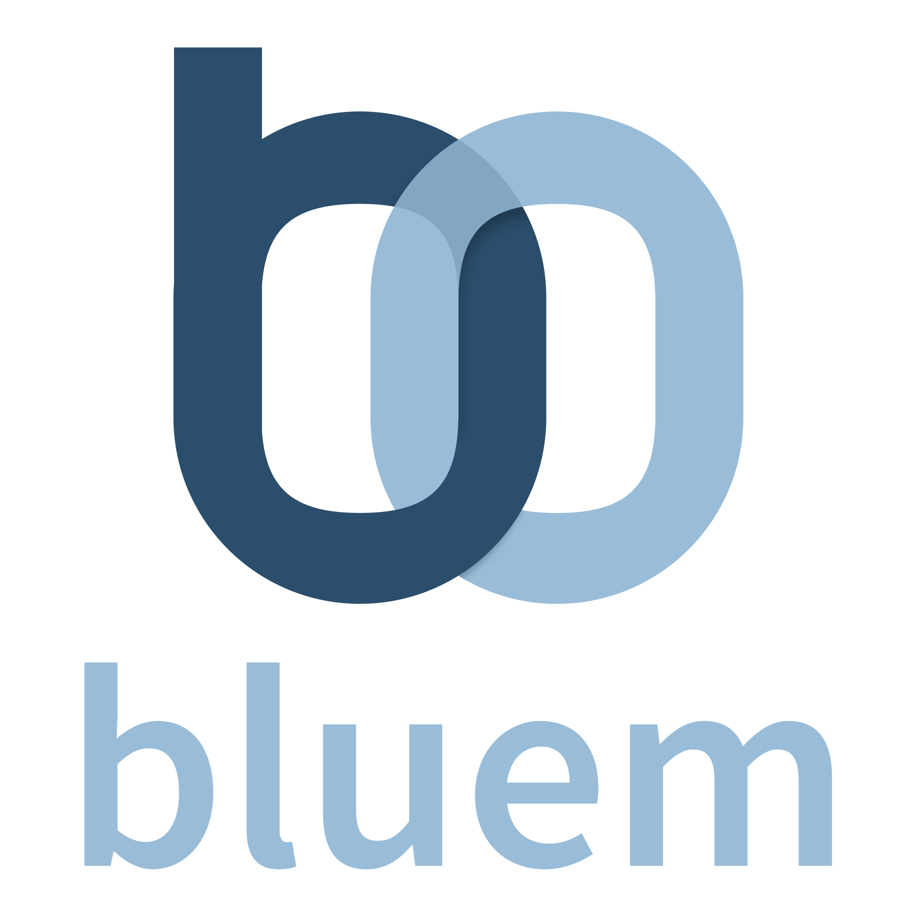 Bluem logo